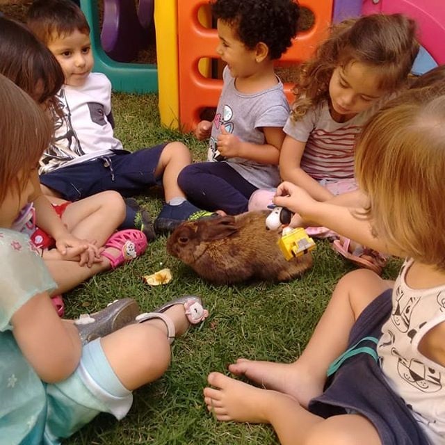 educacao-infantil-em-campinas